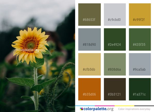 Flower Sunflower Plant Color Palette
