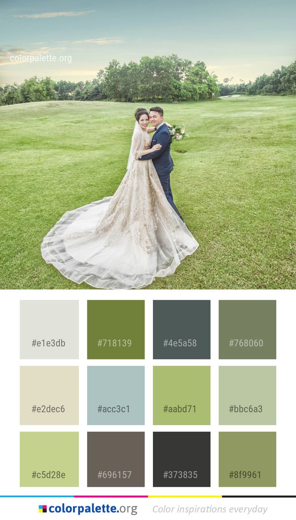 Gown Photograph Dress Color Palette