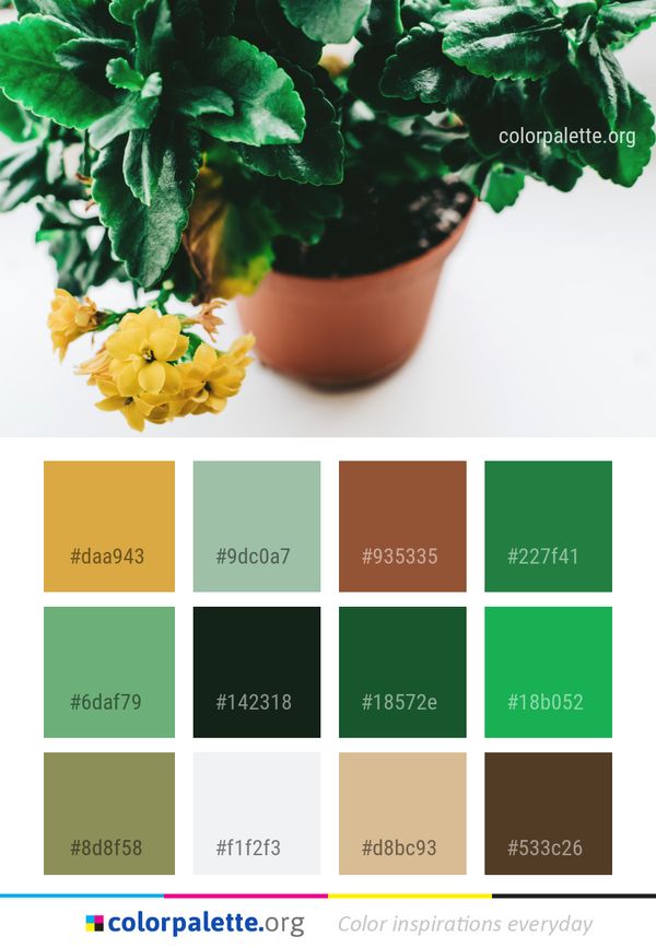 Green Leaf Plant Color Palette