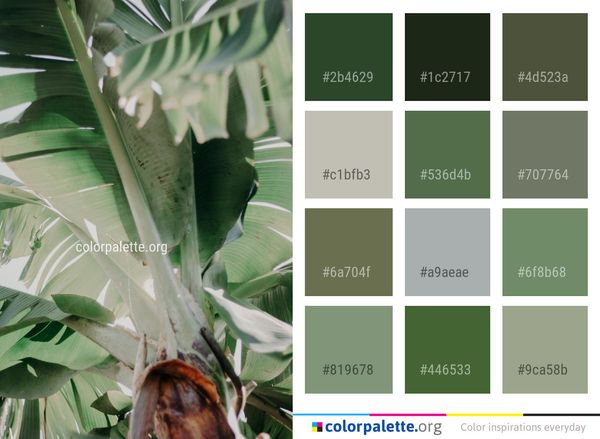 Plant Leaf Flora Color Palette