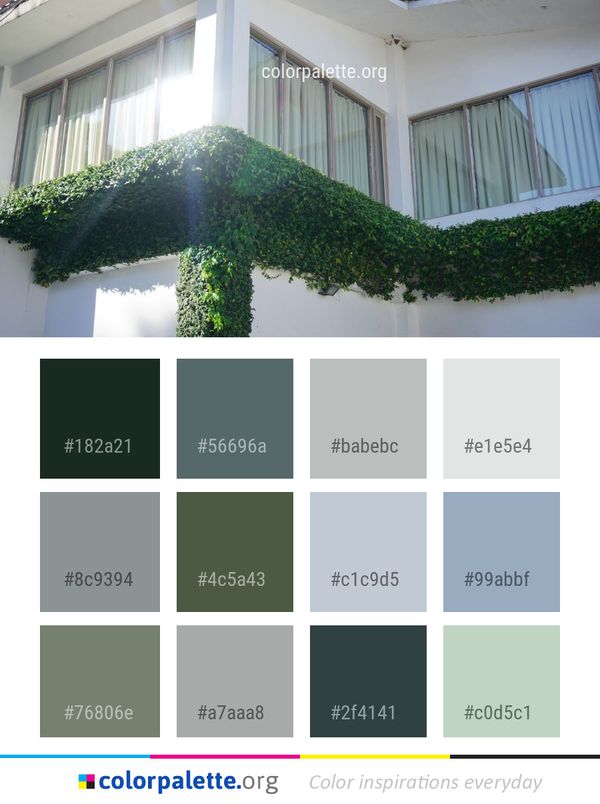 Property Window House Color Palette