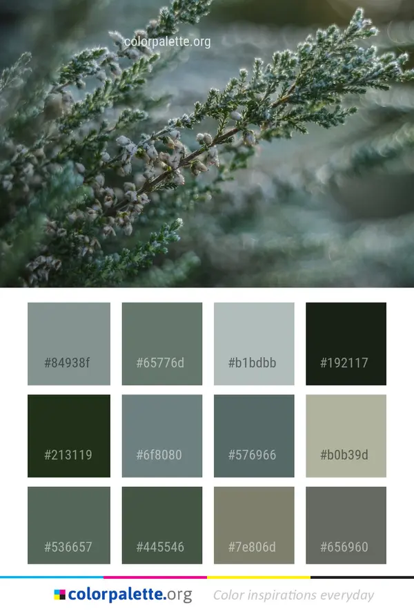 Autumn Color Palettes — Seasonal Book preview 6