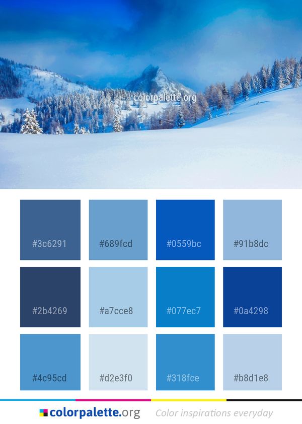 Winter Sky Nature Color Palette