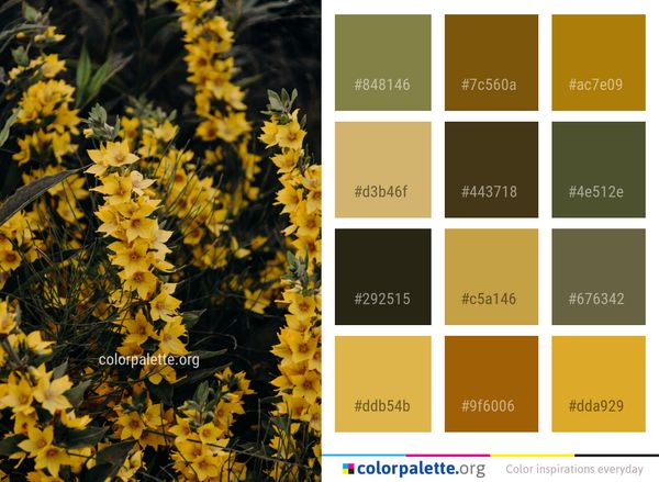 Yellow Flora Plant Color Palette
