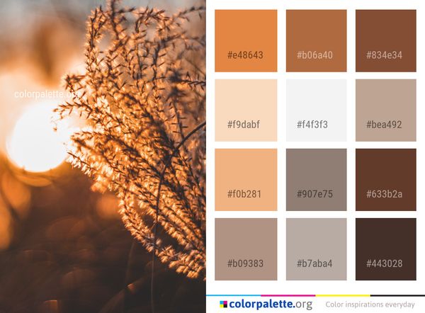 Branch Sky Twig Color Palette