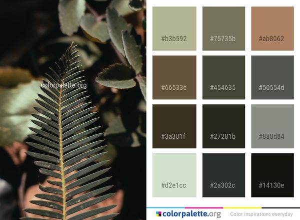 Leaf Close Up Plant Color Palette