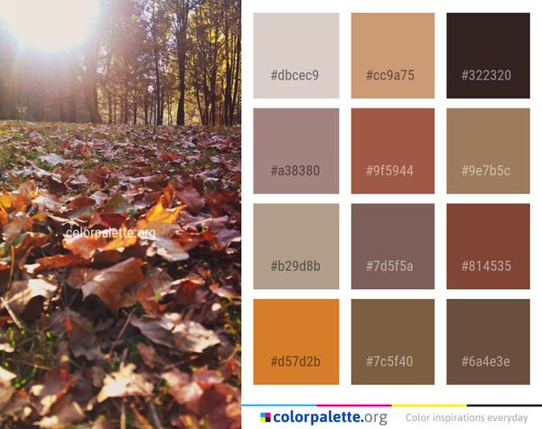 Leaf Nature Autumn Color Palette