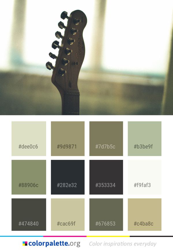 Musical Instrument String Plucked Instruments Color Palette