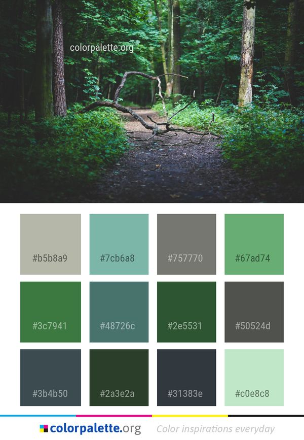 Nature Green Forest Color Palette