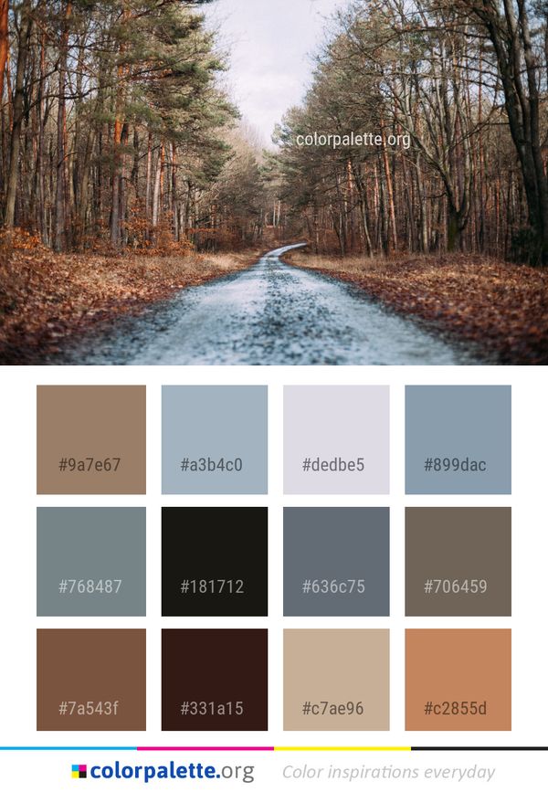 Path Nature Ecosystem Color Palette