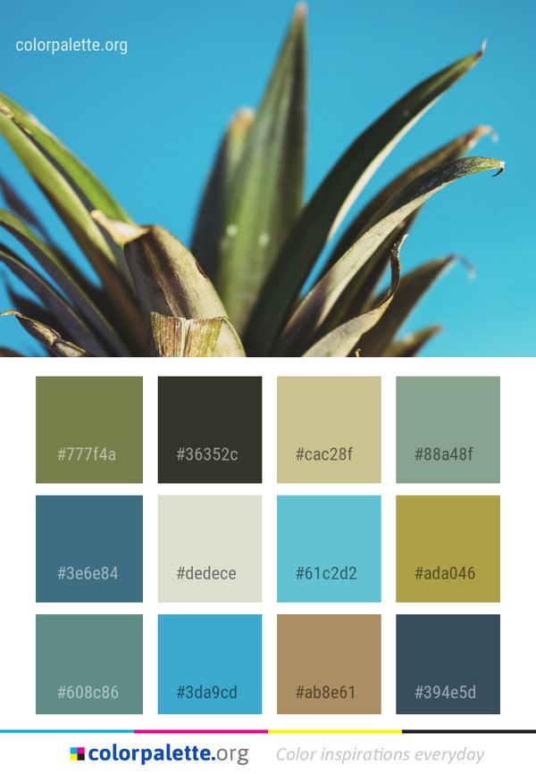 Plant Sky Leaf Color Palette