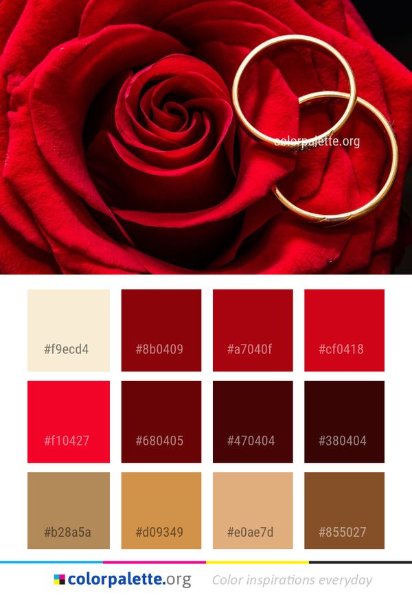 Red Garden Roses Rose Color Palette