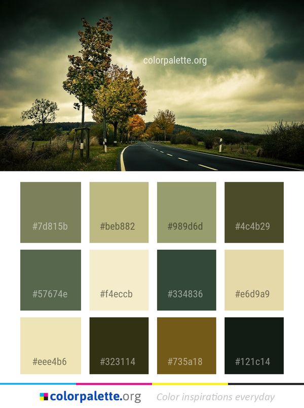 Sky Cloud Nature Color Palette