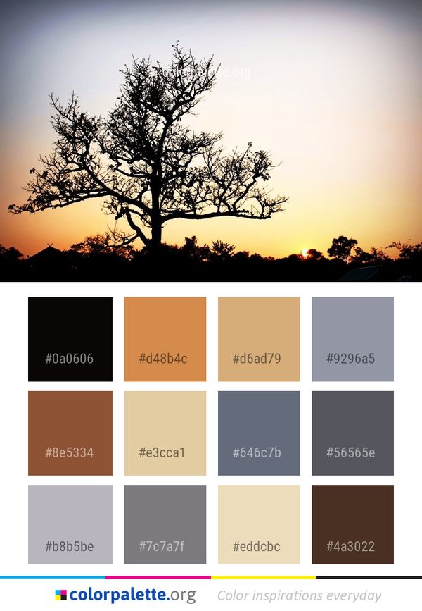 Sky Tree Woody Plant Color Palette