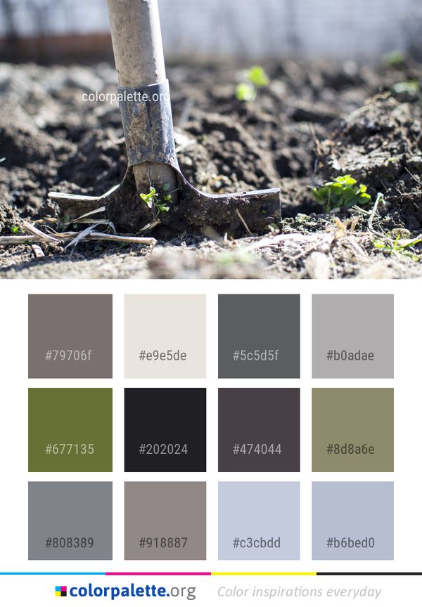 Soil Plant Grass Color Palette