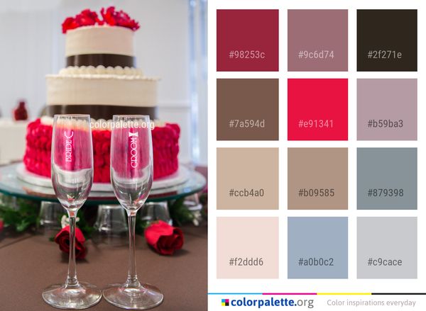 Stemware Wine Glass Champagne Color Palette