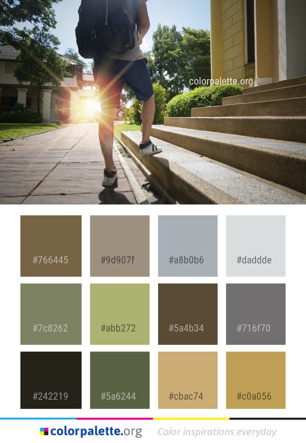 Tree Recreation Fun Color Palette