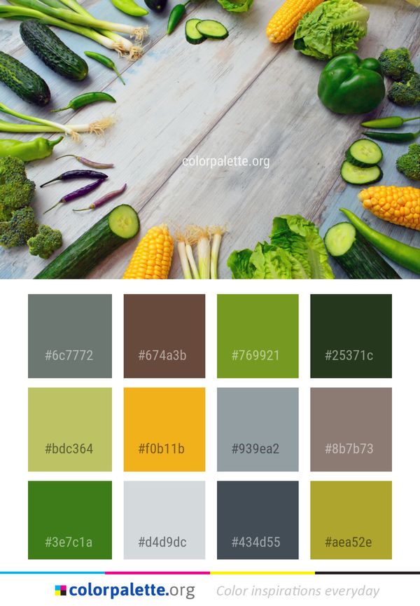 Vegetable Natural Foods Food Color Palette