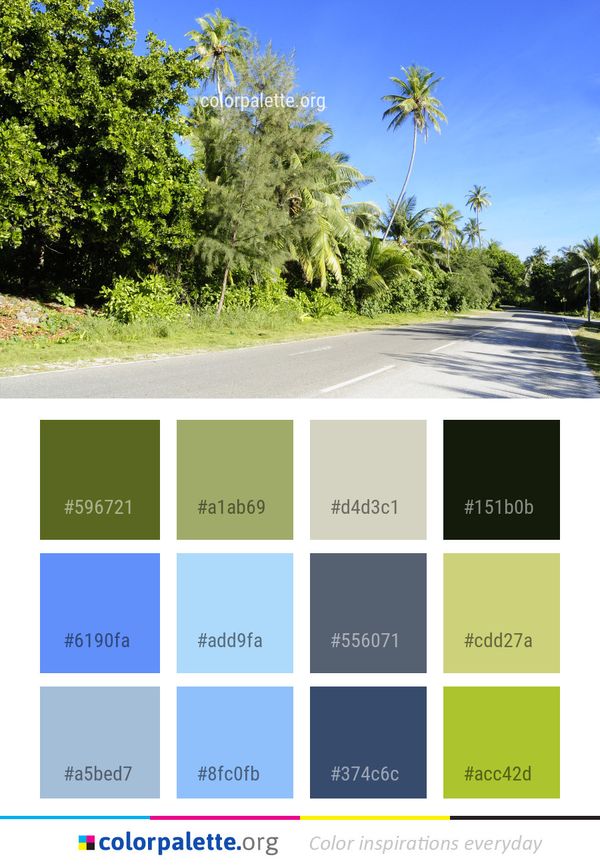 Vegetation Nature Tree Color Palette