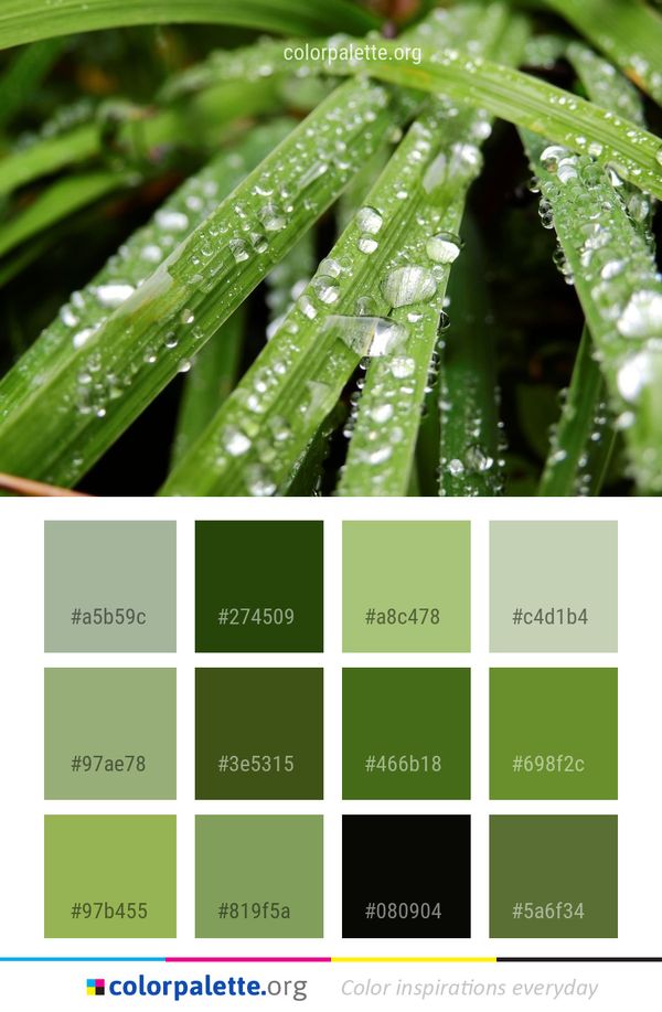 Water Dew Drop Color Palette