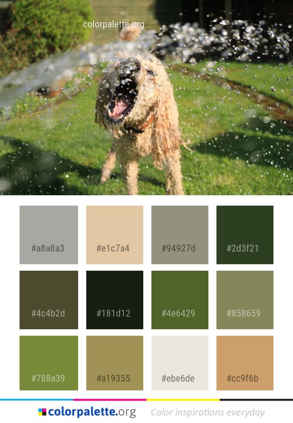 Water Dog Like Mammal Color Palette