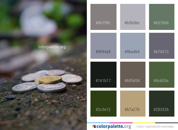 Water Grass Macro Photography Color Palette