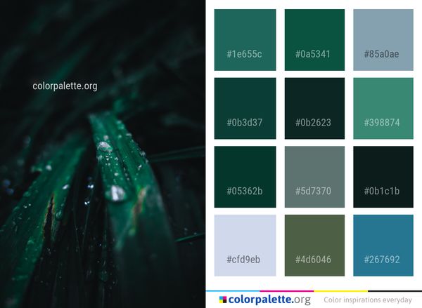 Water Green Darkness Color Palette