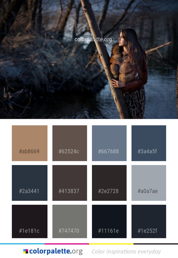 Water Nature Tree Color Palette