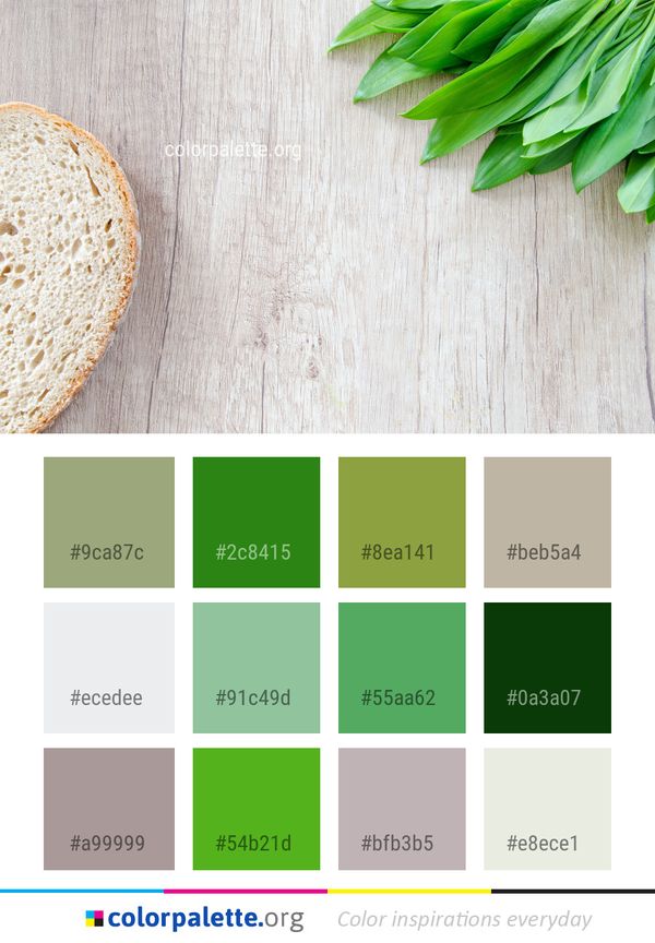 Wood Grass Family Color Palette
