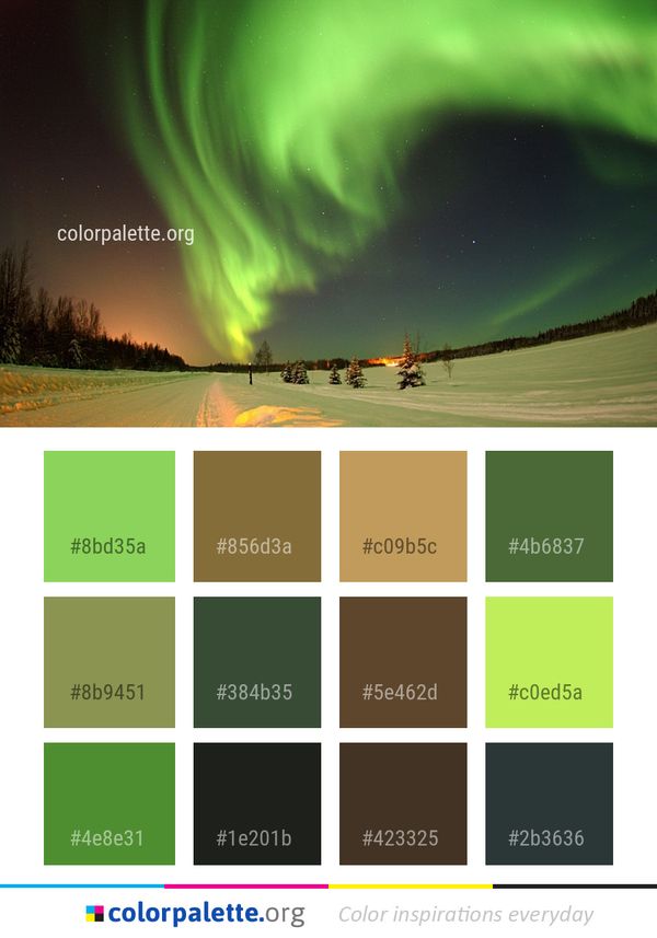 Aurora Nature Green Color Palette