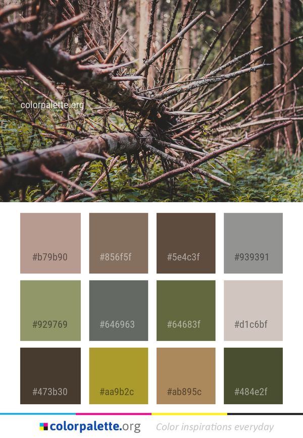 Branch Tree Ecosystem Color Palette