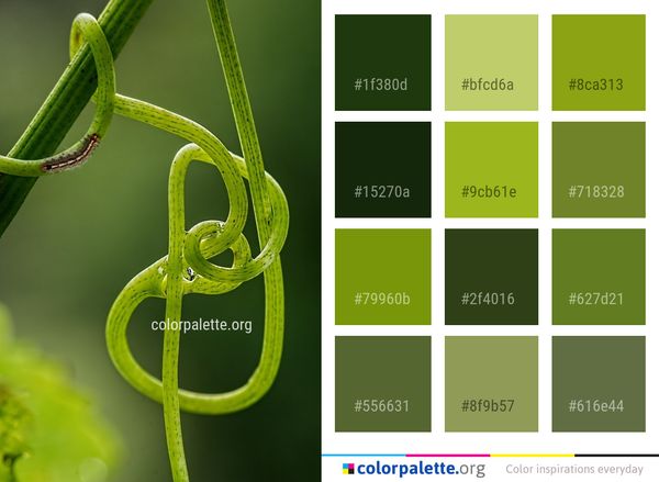 Flora Macro Photography Leaf Color Palette