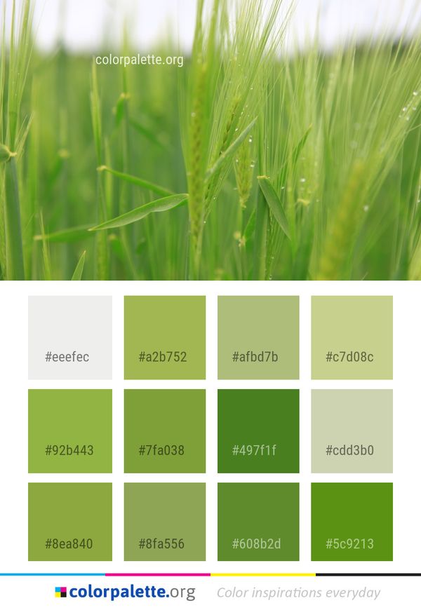 Grass Vegetation Field Color Palette