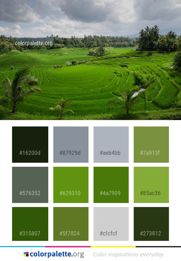 Grassland Field Vegetation Color Palette