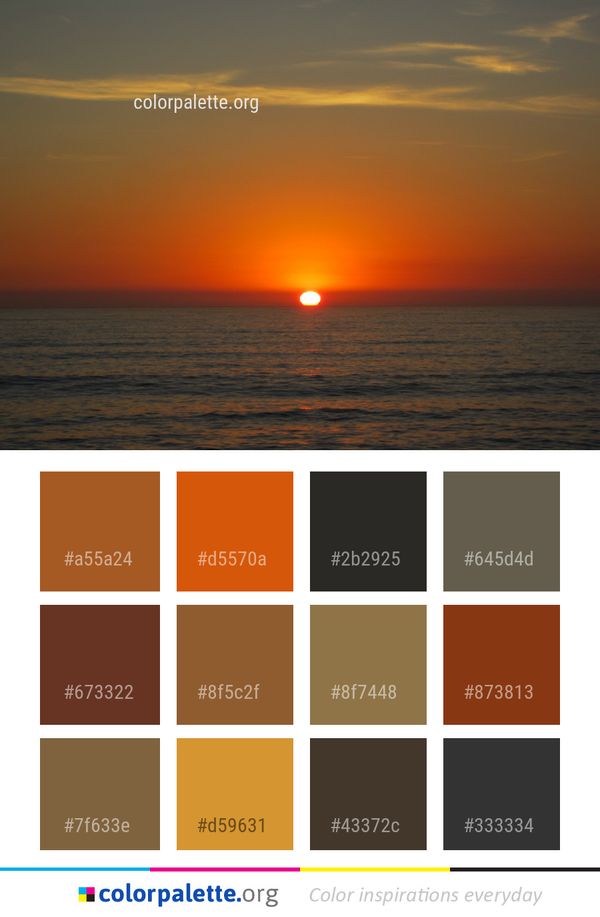 Horizon Sea Sky Color Palette