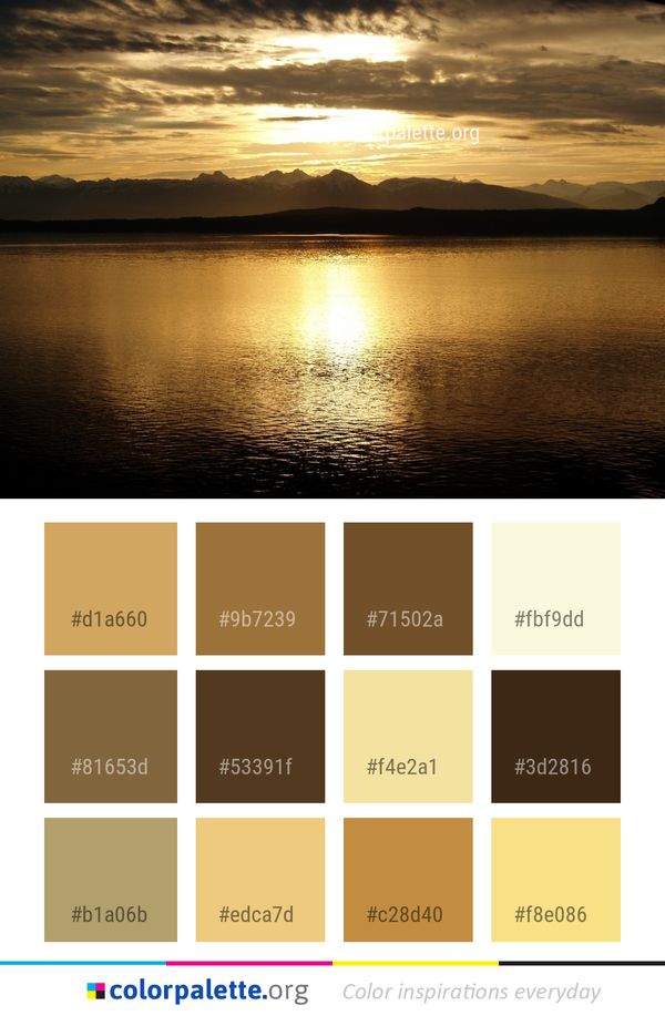 Sky Reflection Horizon Color Palette