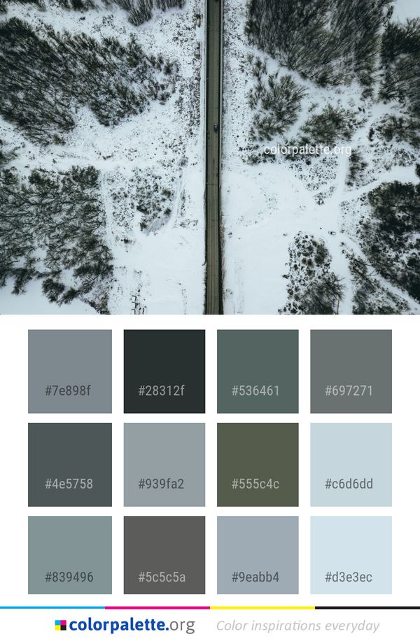 Snow Winter Tree Color Palette