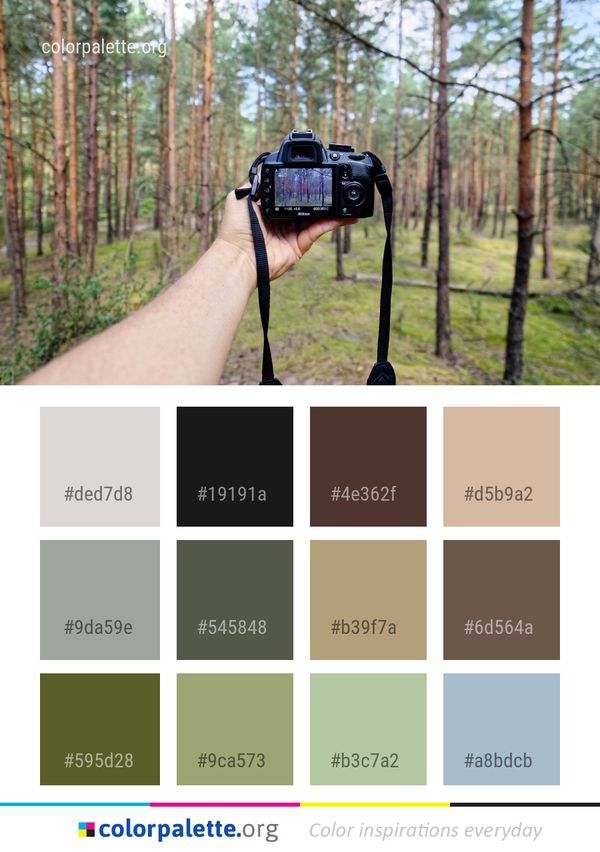 Tree Photography Grass Color Palette