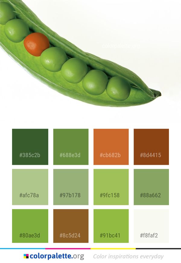 Vegetable Pea Legume Color Palette