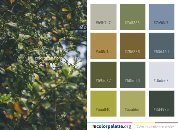 Vegetation Plant Leaf Color Palette