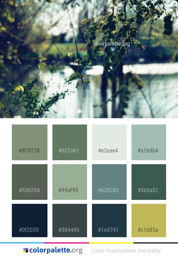 Water Reflection Nature Color Palette