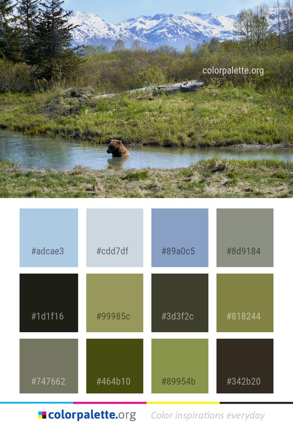 Wilderness Ecosystem Nature Reserve Color Palette