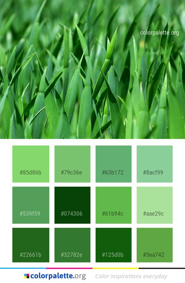 Grass Green Family Color Palette