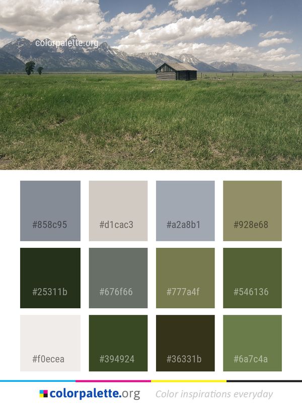 Grassland Ecosystem Sky Color Palette