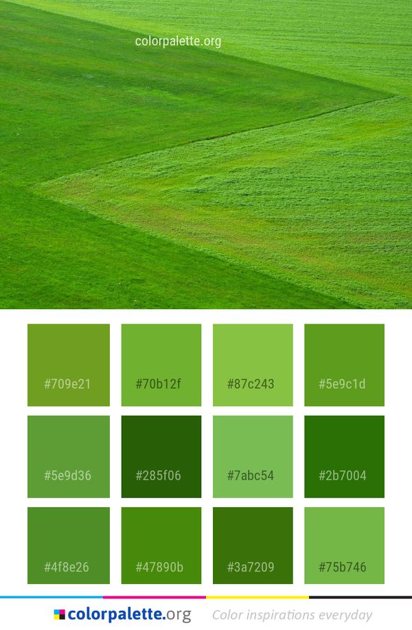 Grassland Green Field Color Palette