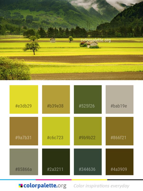 Grassland Nature Field Color Palette