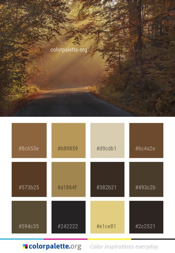 Nature Forest Autumn Color Palette