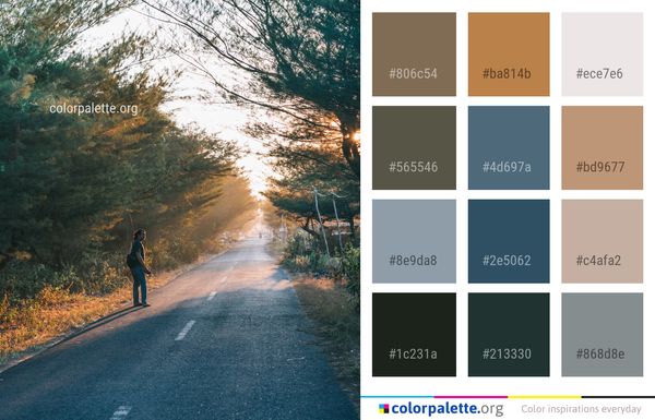 Nature Road Sky Color Palette