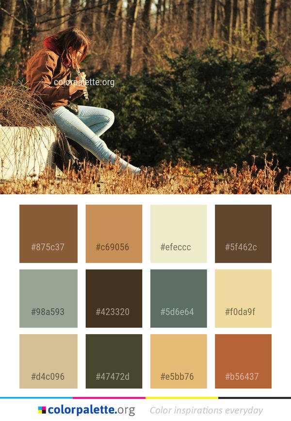 Nature Tree Woody Plant Color Palette