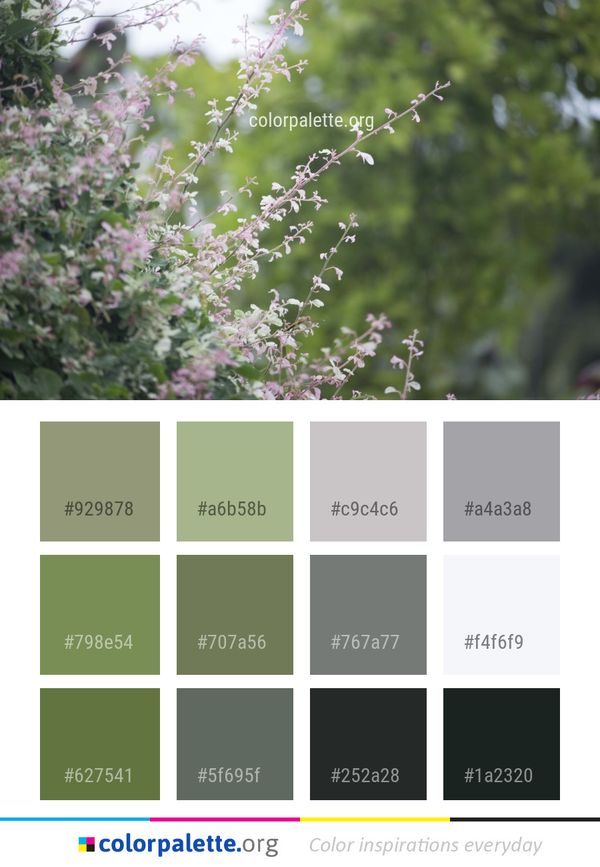 Plant Flower Spring Color Palette